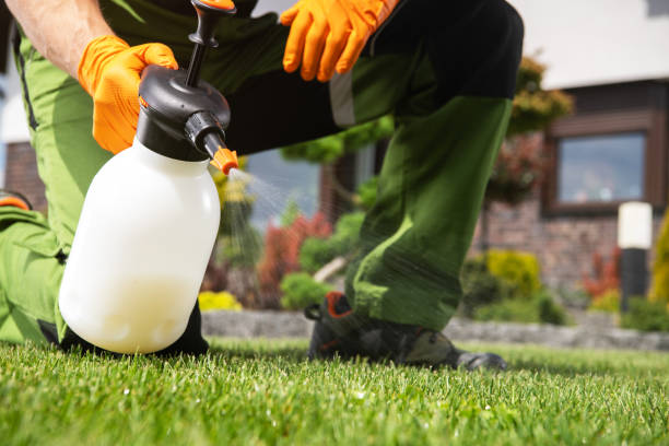 Best Wasp Removal Services  in Linwood, PA