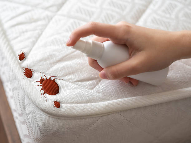 Best Best Pest Control Companies  in Linwood, PA