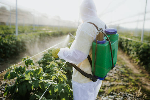 Reliable Linwood, PA Pest Control Solutions